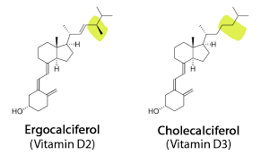 Vitamin D (calciferol) review